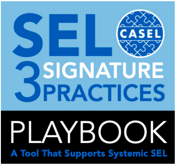 3 Signature Practices Playbook